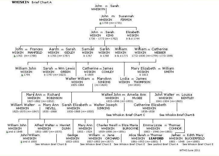 Brief Whiskin Chart A