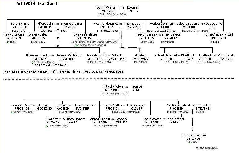 Brief Whiskin Chart B