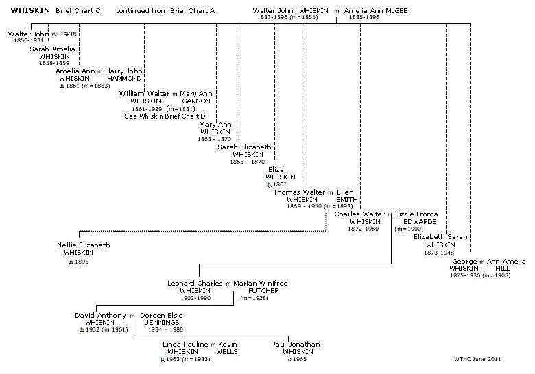 Brief Whiskin Chart C