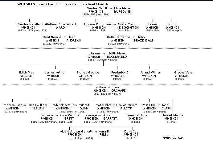 Brief Whiskin Chart E