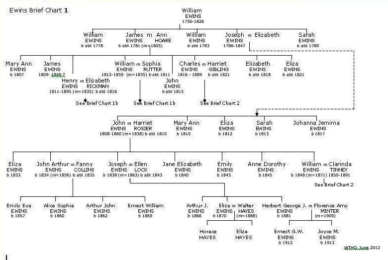 Ewins Brief Chart 1