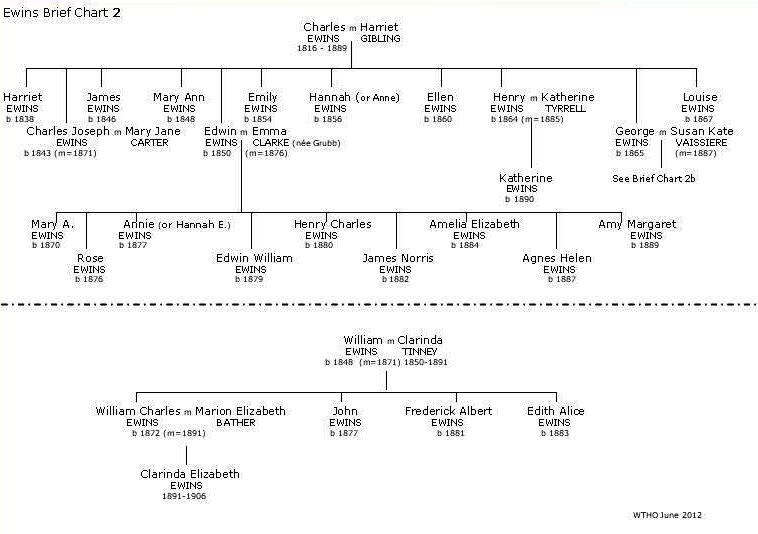 Ewins Brief Chart 2