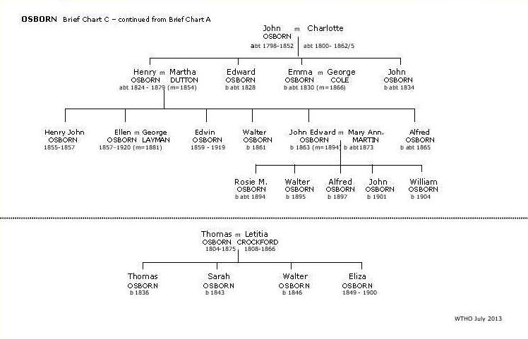 Brief Osborn Chart C