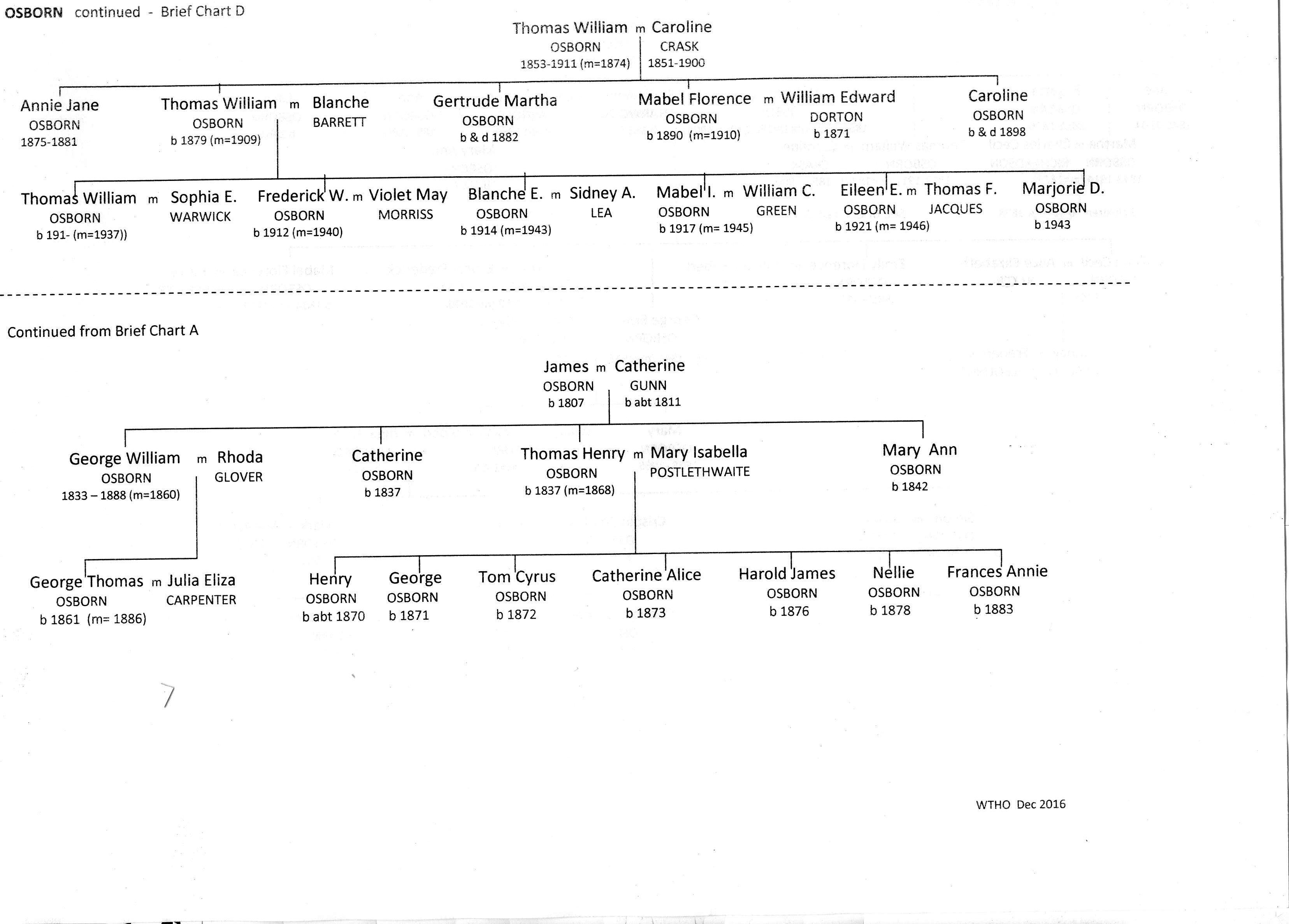 Brief Osborn Chart D